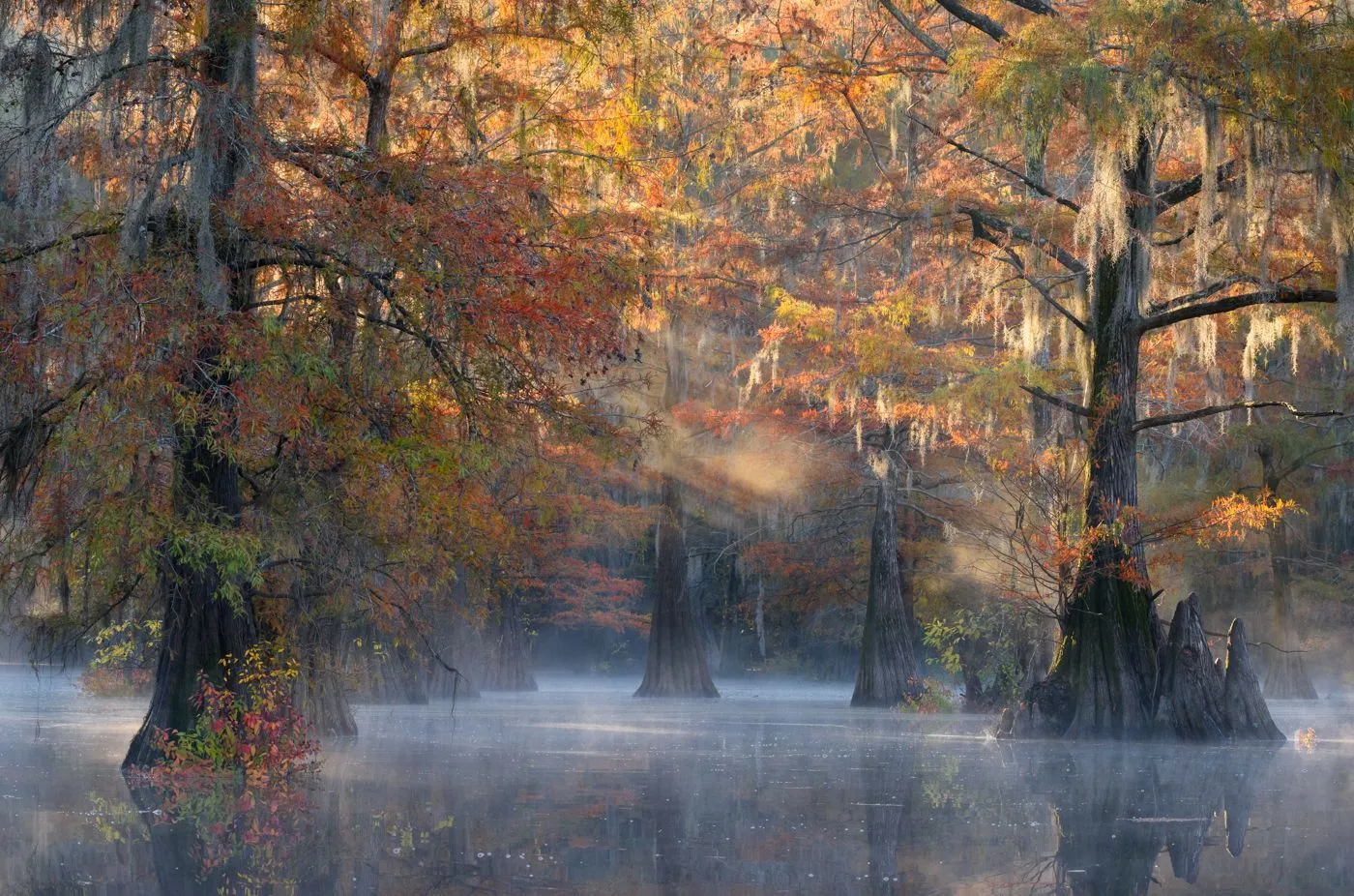Thorsten Scheuermann / The International Landscape Photographer of the Year