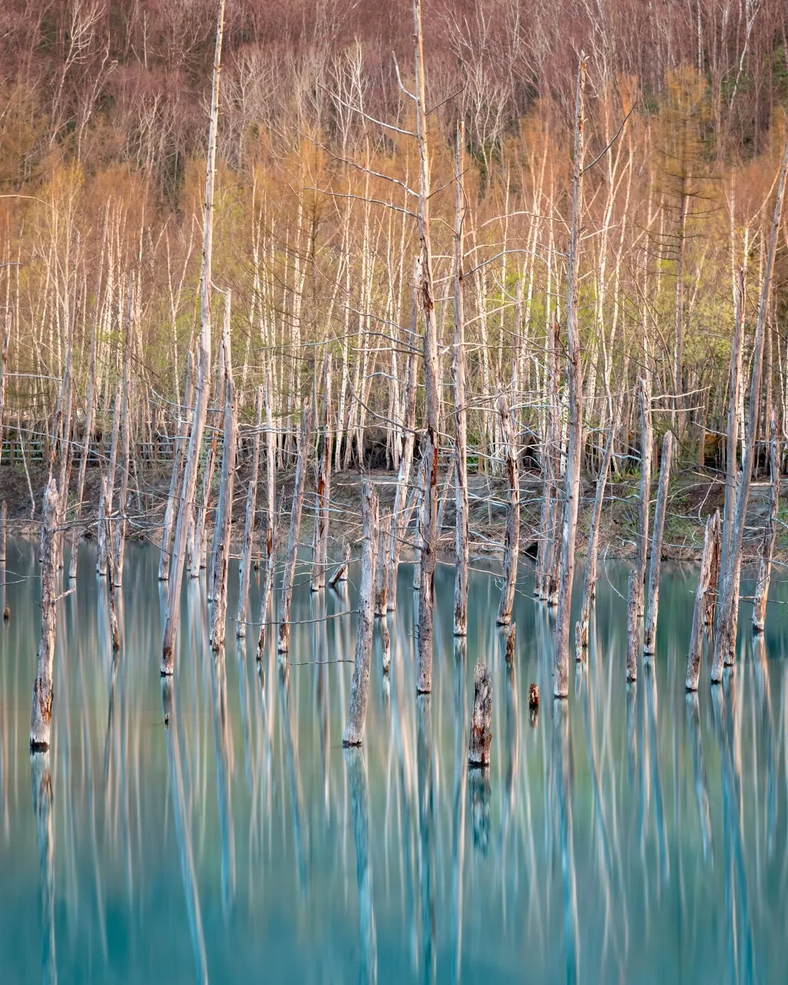 Craig McGowan / The International Landscape Photographer of the Year