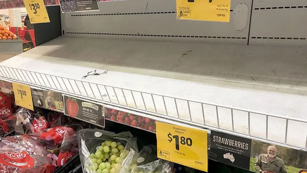 1d2bdcf754733f6a0f4146516d6fbad7
