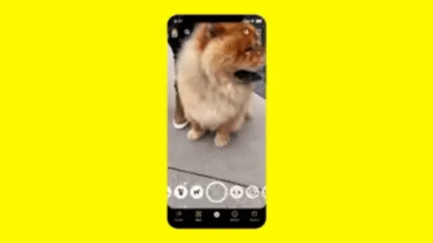 SnapDog