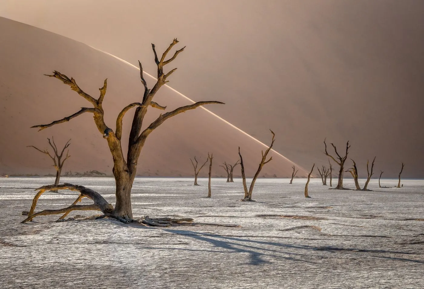 Tomasz Szpila / The International Landscape Photographer of the Year