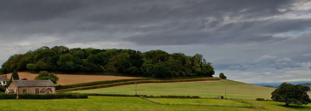 Posbury Clump