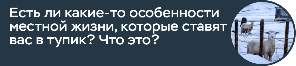 наши за границей новая зеландия вопрос 7