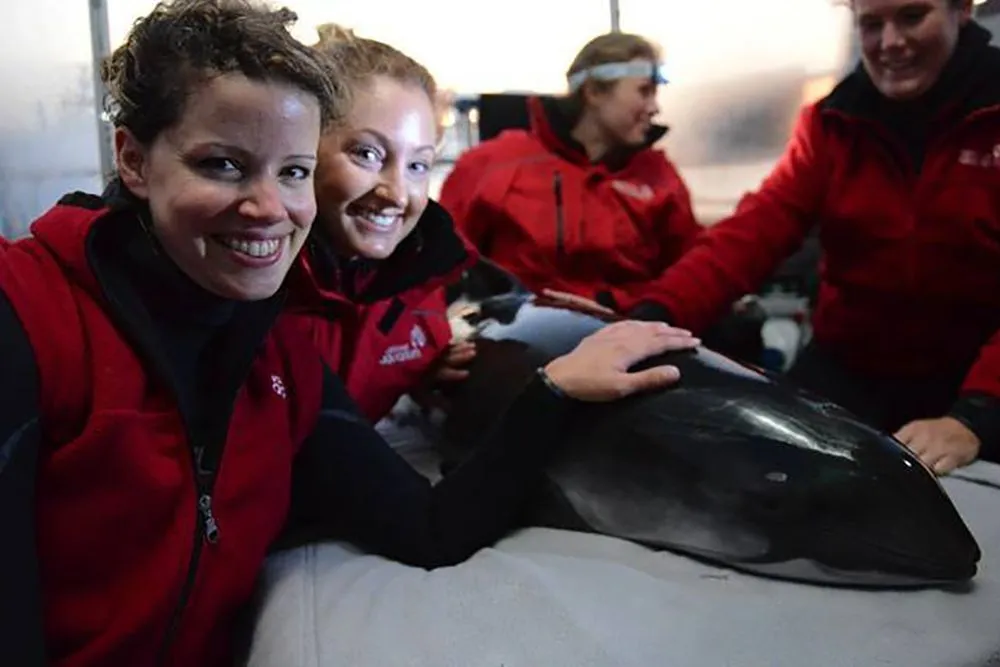 6059cb3978d3e12c94fffec4c0cda53f
