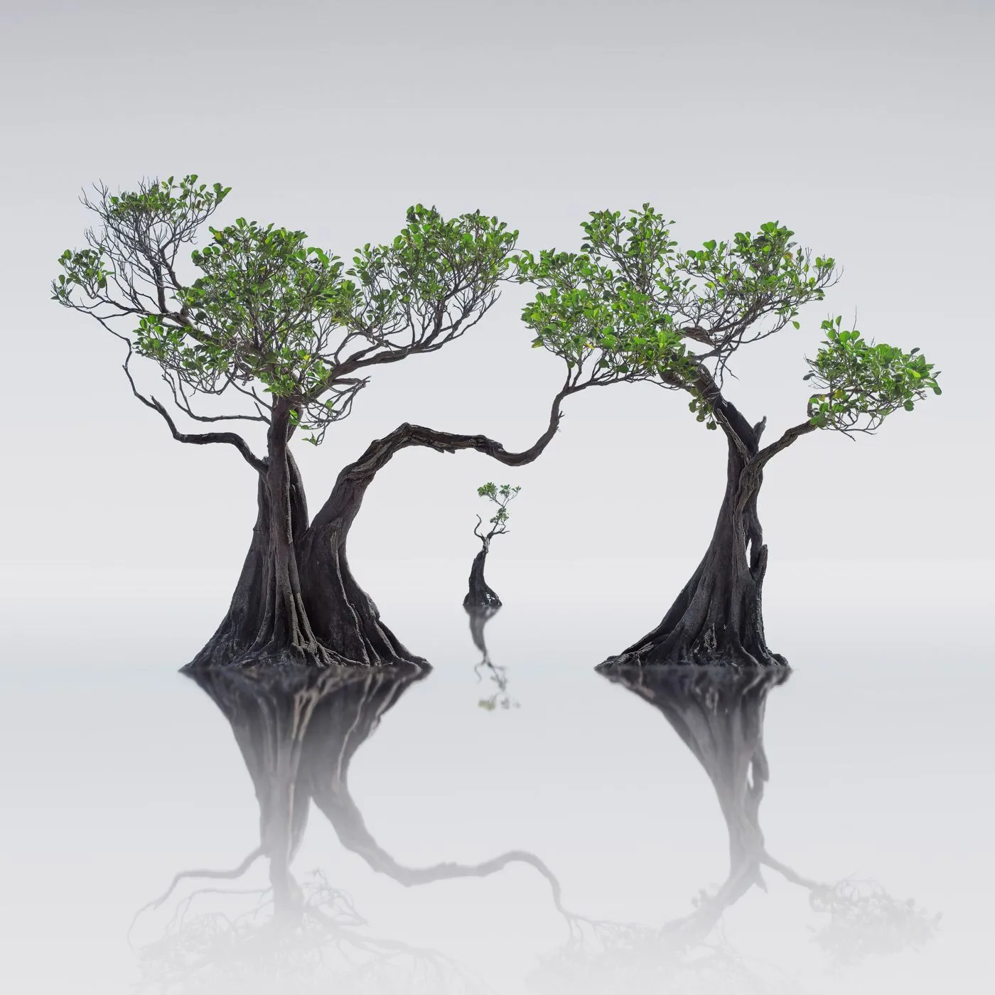Wong Choon Keat / The International Landscape Photographer of the Year