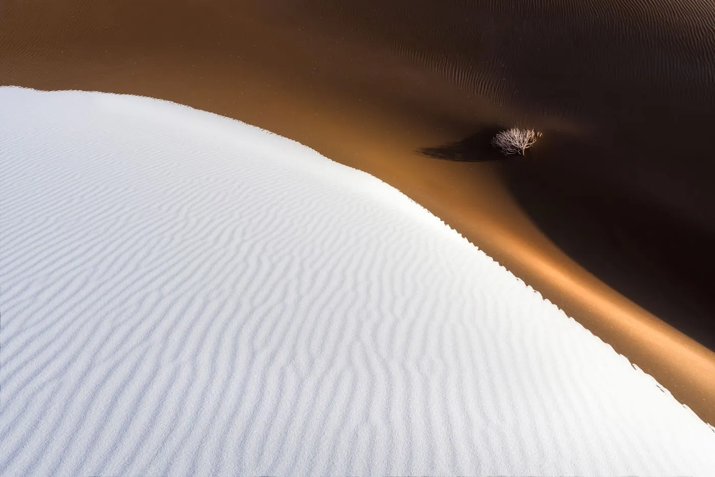 Yang Guang / The International Landscape Photographer of the Year