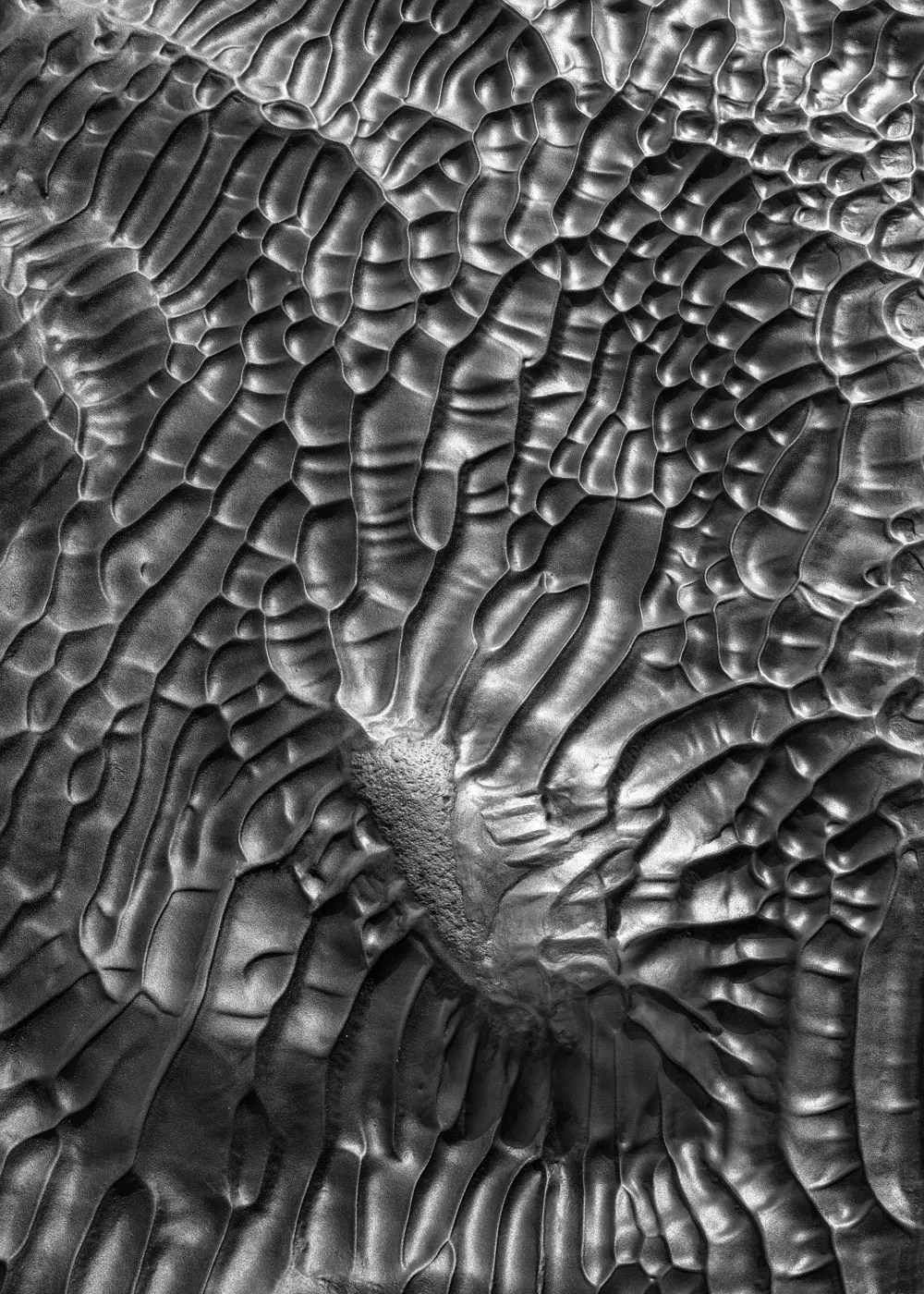 Oleg Ershov / The International Landscape Photographer of the Year