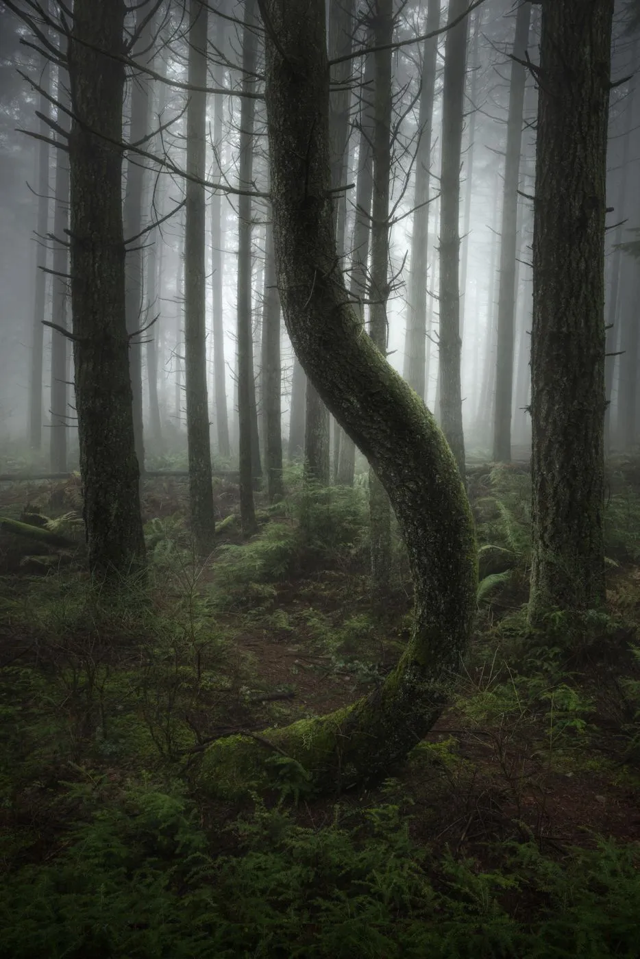 Blake Randall / The International Landscape Photographer of the Year