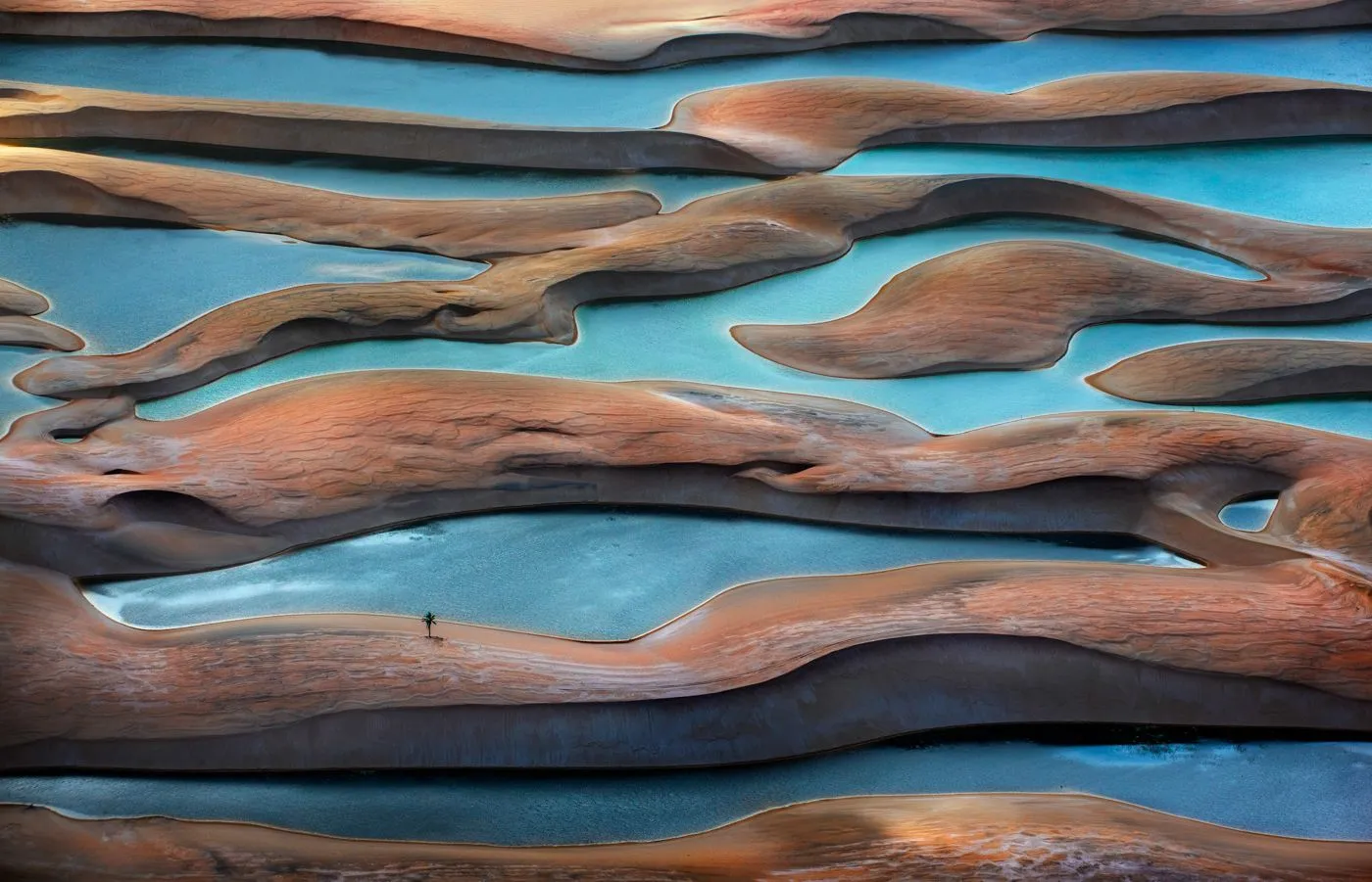 Ignacio Palacios / The International Landscape Photographer of the Year