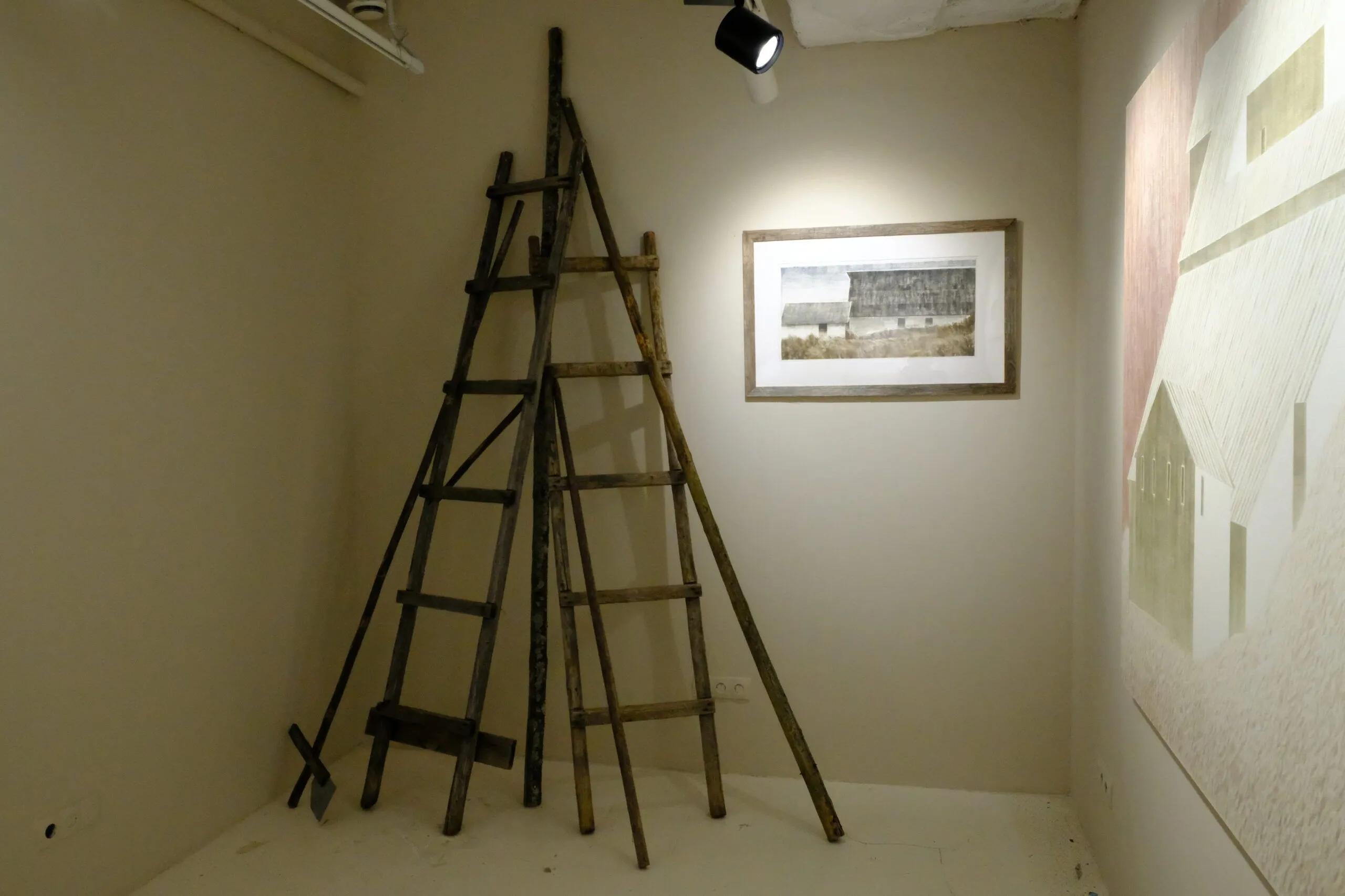 DSCF7534