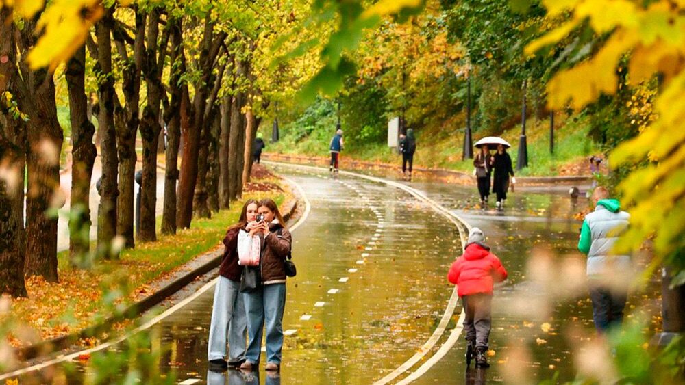 Осенние городские жанры