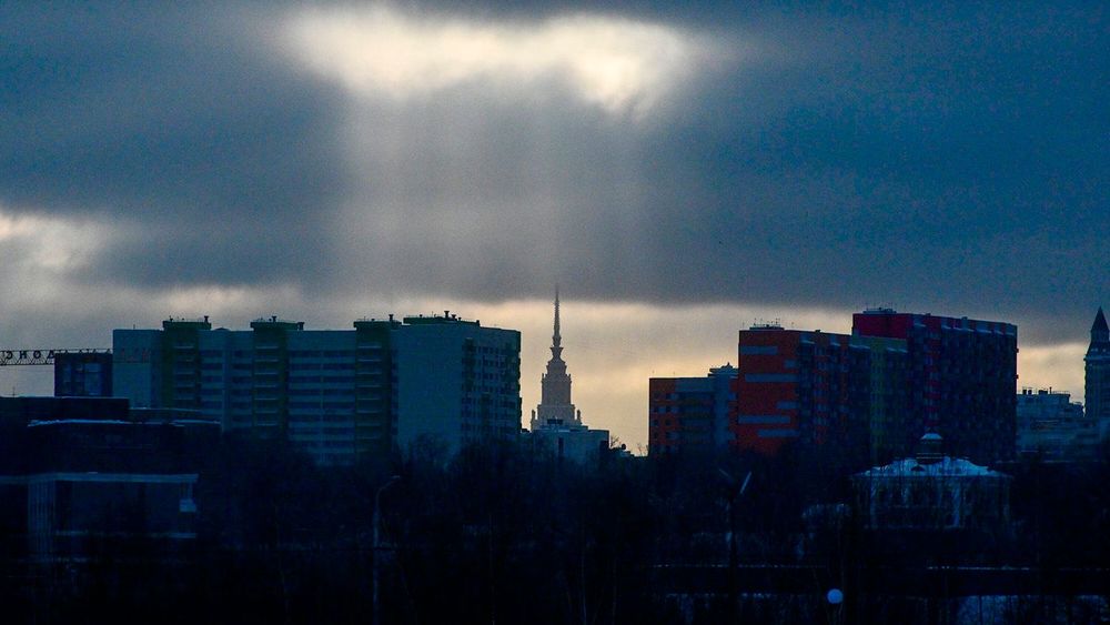 1317884 копия