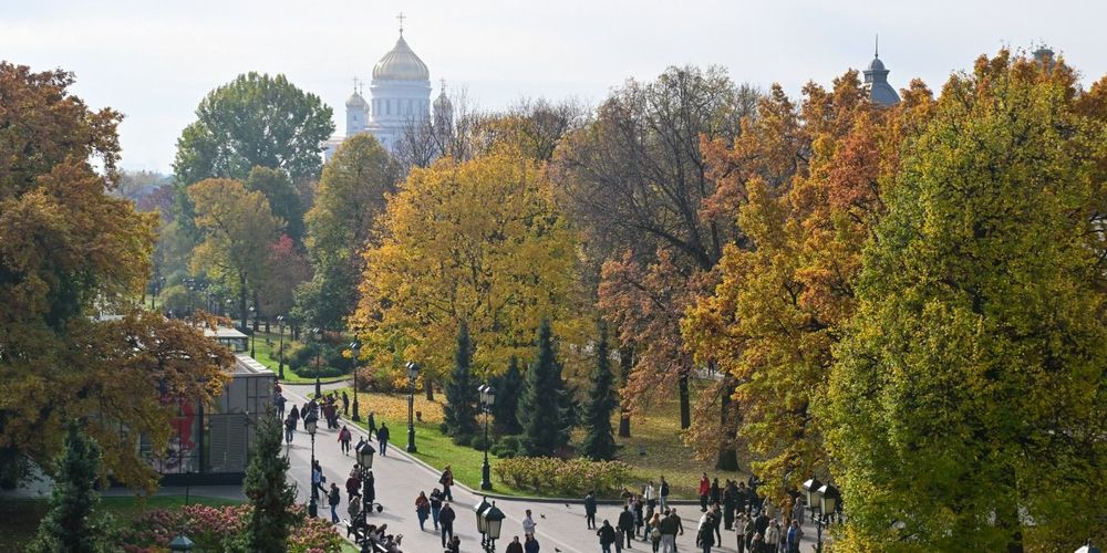 «Положительная аномалия»: погода в Москве и Подмосковье 19–25 октября