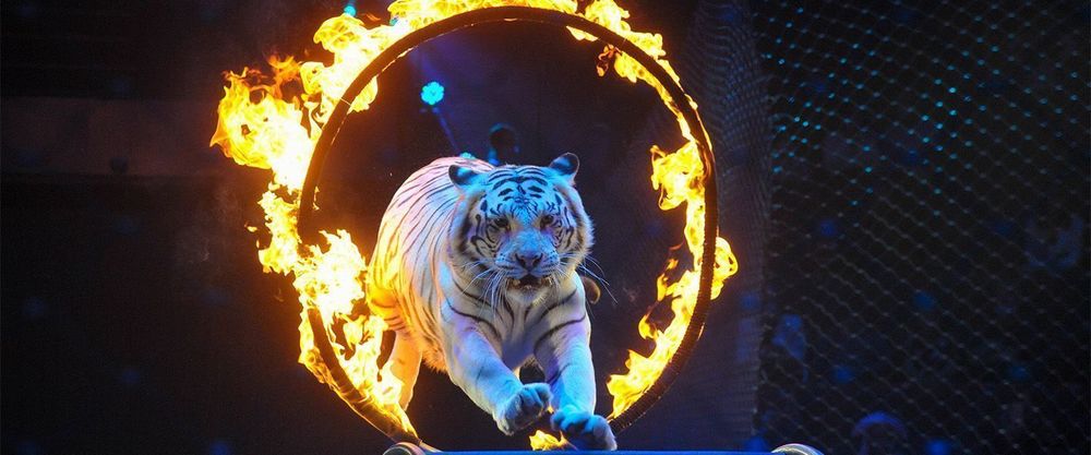 3ec532ab38ebc7445f4a827b51963c81