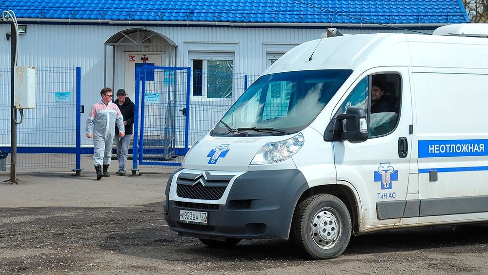 490928 копия