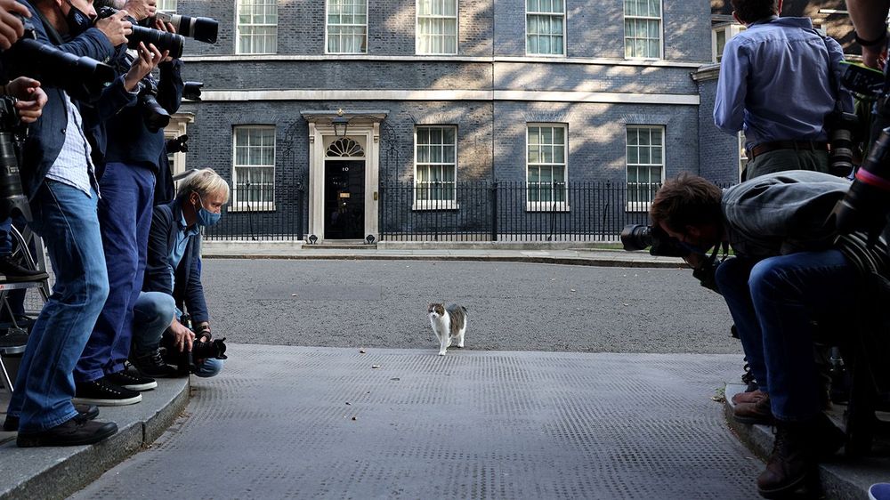 Boris Johnson Cabinet Meeting
