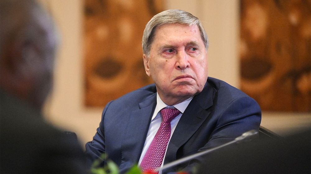 «Игнорируют даже его»: Новак и Ушаков высказались о новых атаках Украины на НПЗ