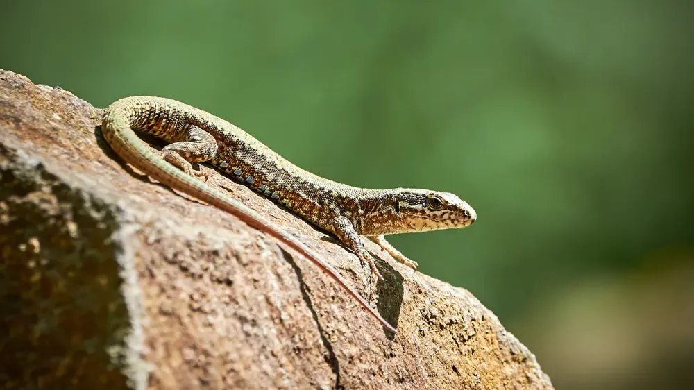AdobeStock_209899724