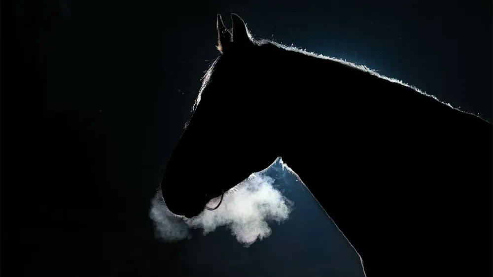 AdobeStock_307801937