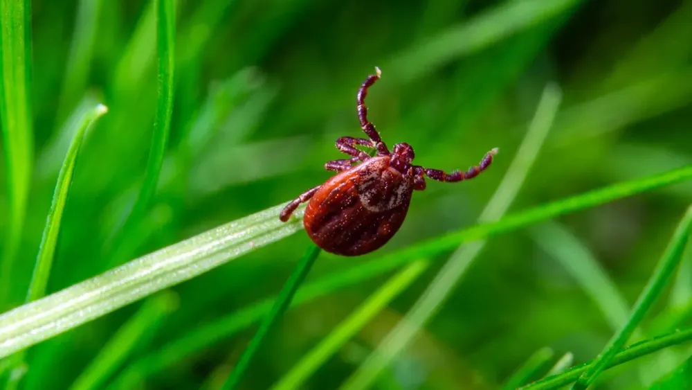 AdobeStock_342364692