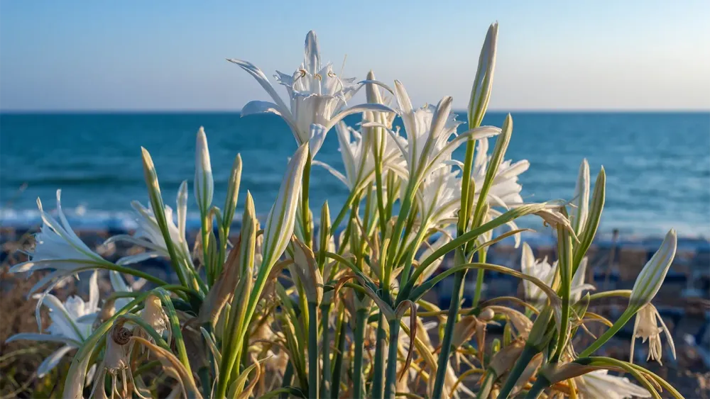 AdobeStock_550924303