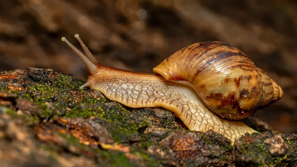 AdobeStock_575957708