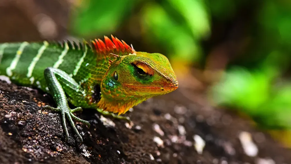 AdobeStock_627607241