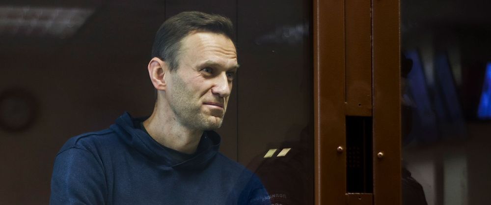 Суд перенес рассмотрение дела против Навального об оскорблении ветерана