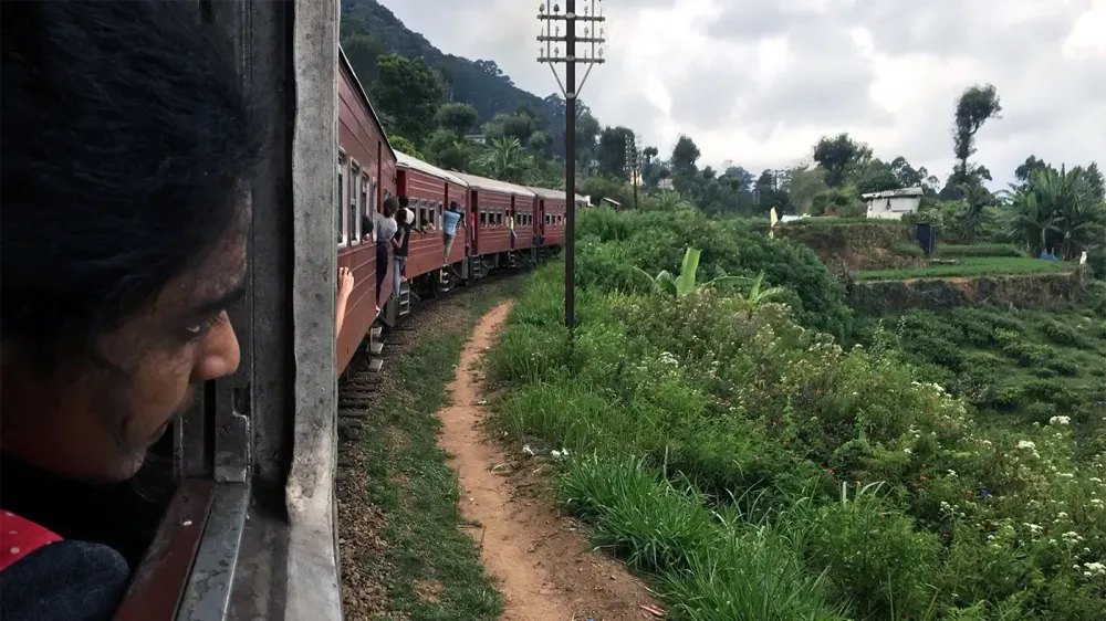 AP17244464632284