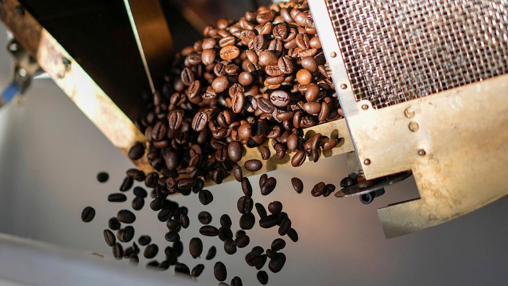 Italy Sun Coffee Photo Gallery