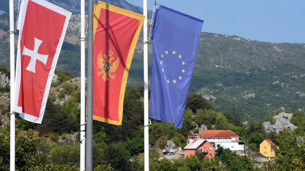 AP22225389166649