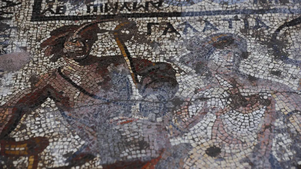 AP22285419426333