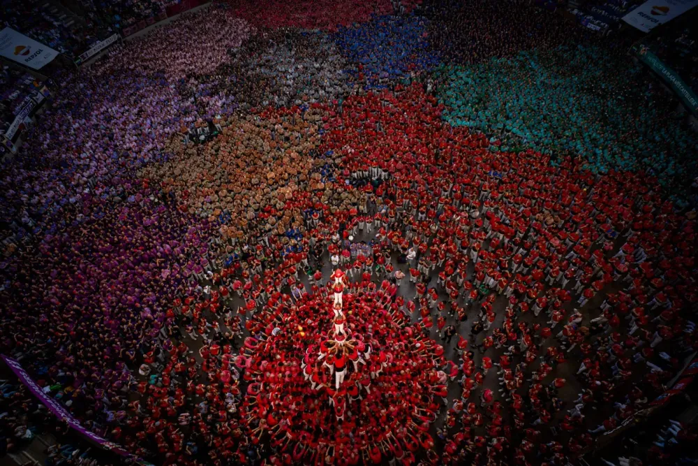 AP24280345894326