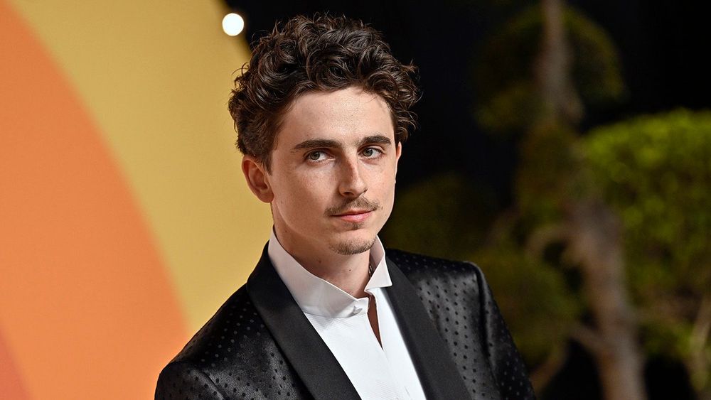 Timothee Chalamet