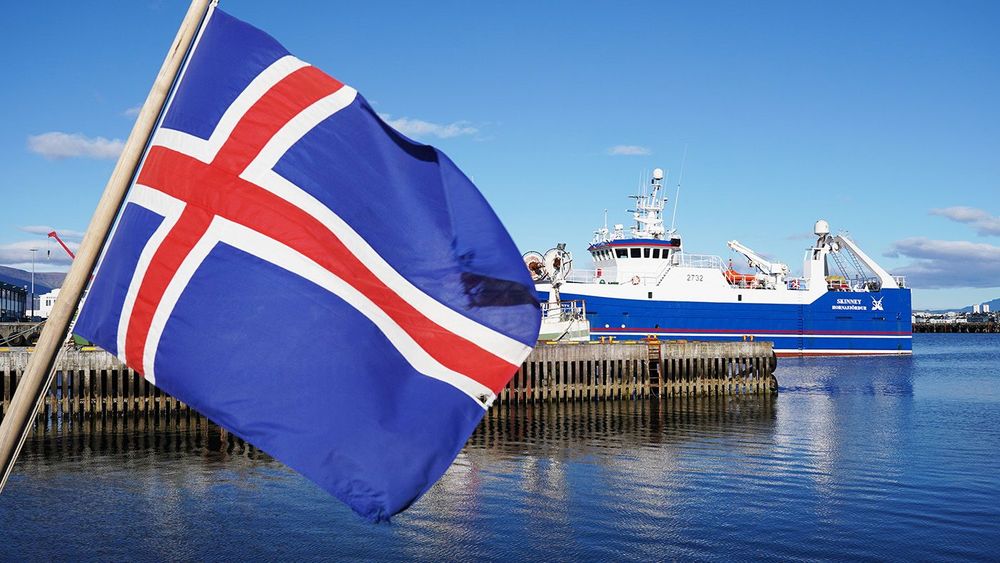 Iceland EU Vote
