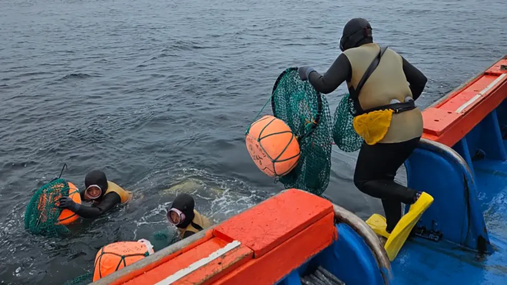 Divers jumping off of a boat CREDIT Melissa Ilardo