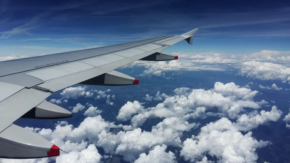 flight