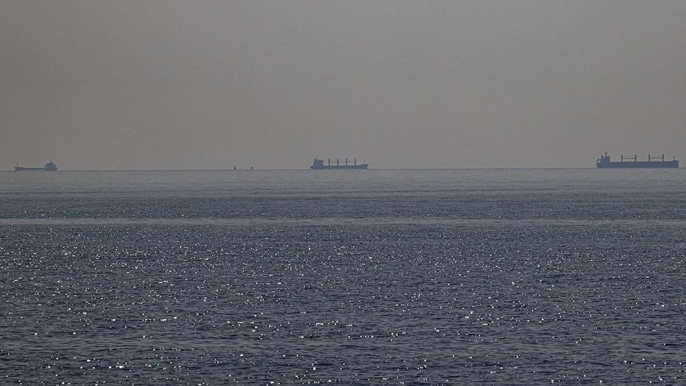 3 more ships carrying grain leave Ukrainian ports