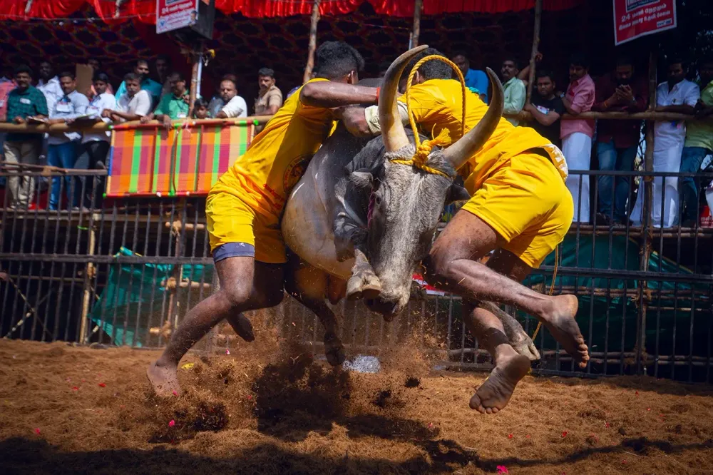 GettyImages-1456565871