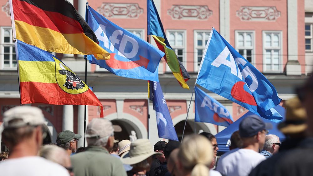 AfD Rally in Rostock
