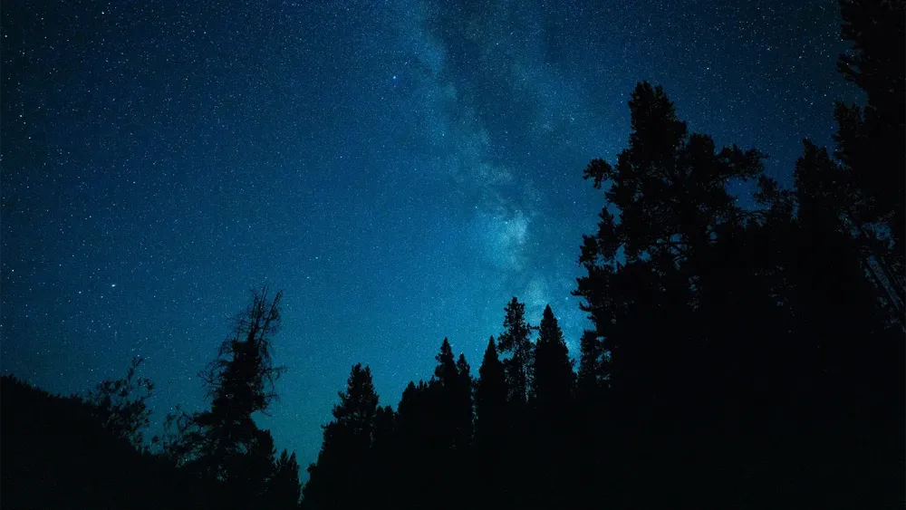 joshua-woroniecki-nHk3obbJek8-unsplash
