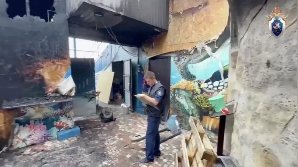 крокодилы