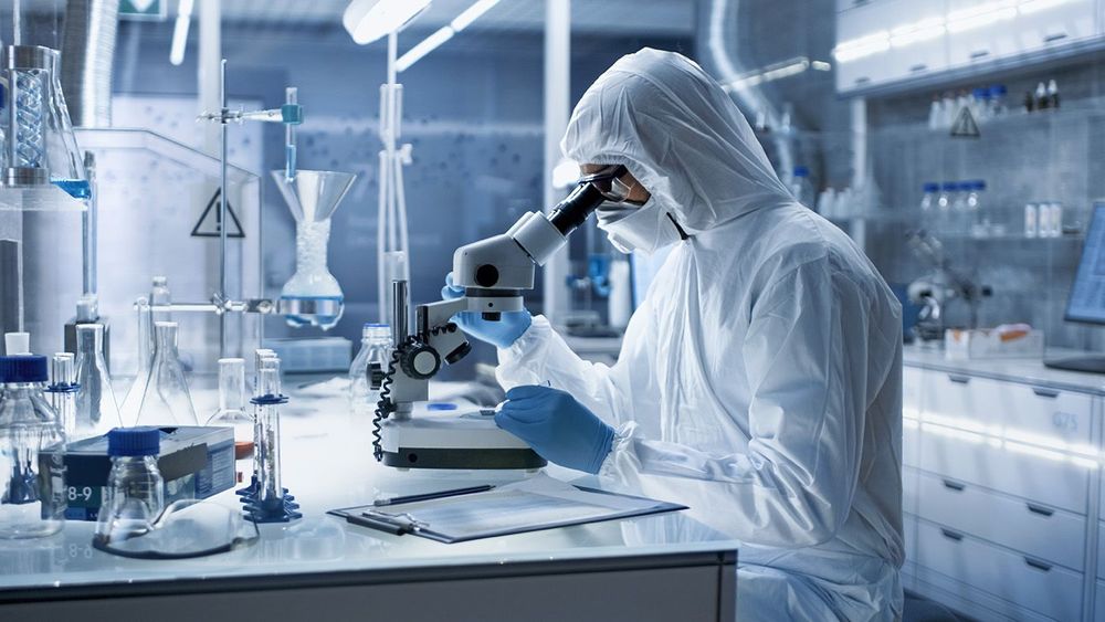 In a Secure High Level Research Laboratory Scientist in a Coverall Examines Petri Dish Under Microscope.