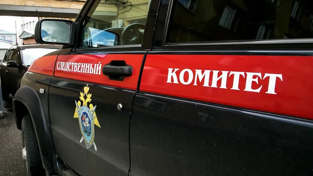 mashina_Sk1(11)
