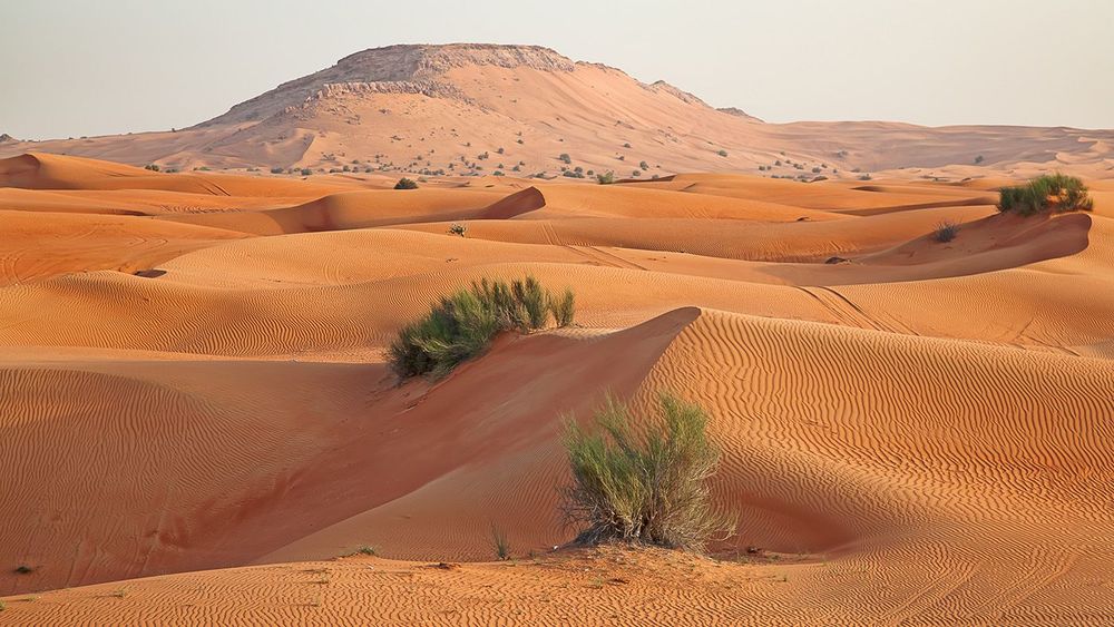 Red sand desert