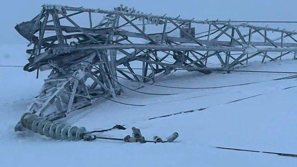 photo_2026-01-24_02-22-13 копия