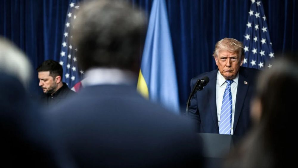 В Госдуме спрогнозировали, до чего может довести отвращение Трампа к Зеленскому