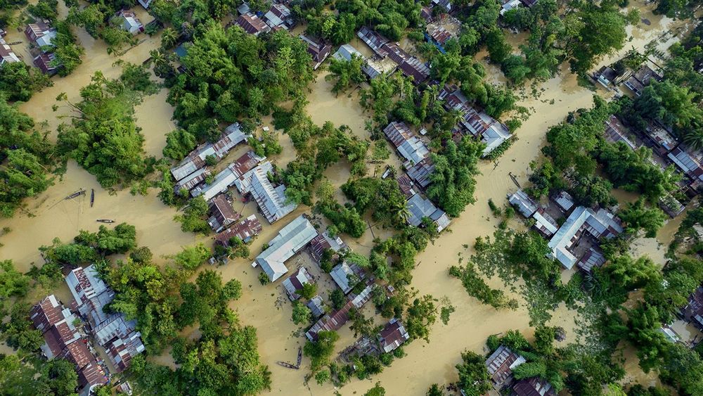 подвода