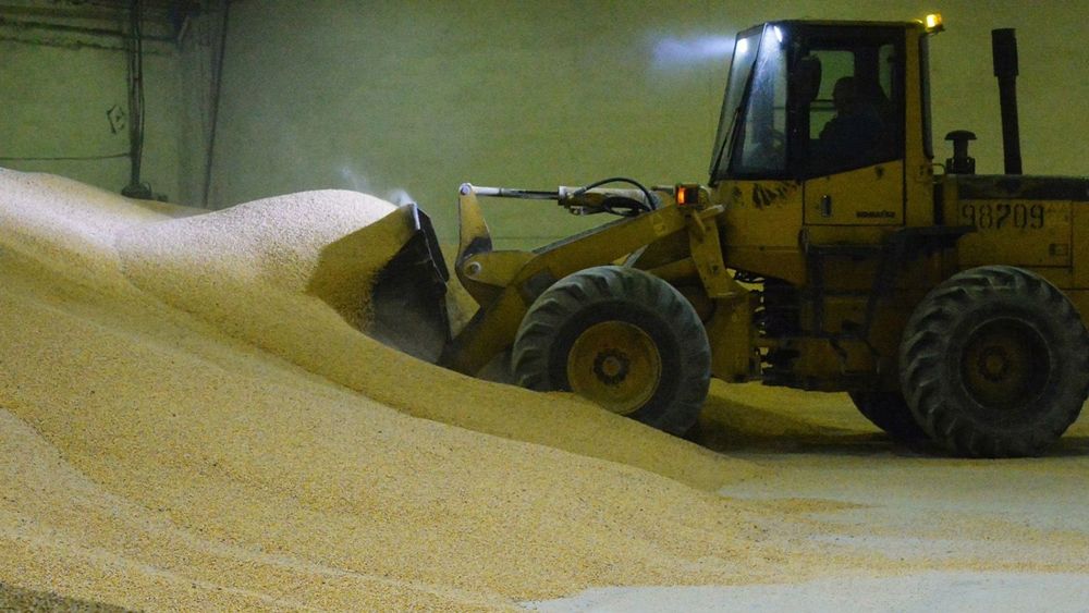 Экспорт российской кукурузы из России в Японию