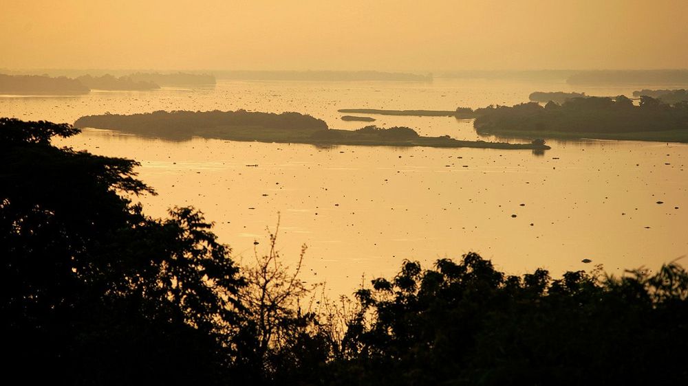 Congo's Lifeline